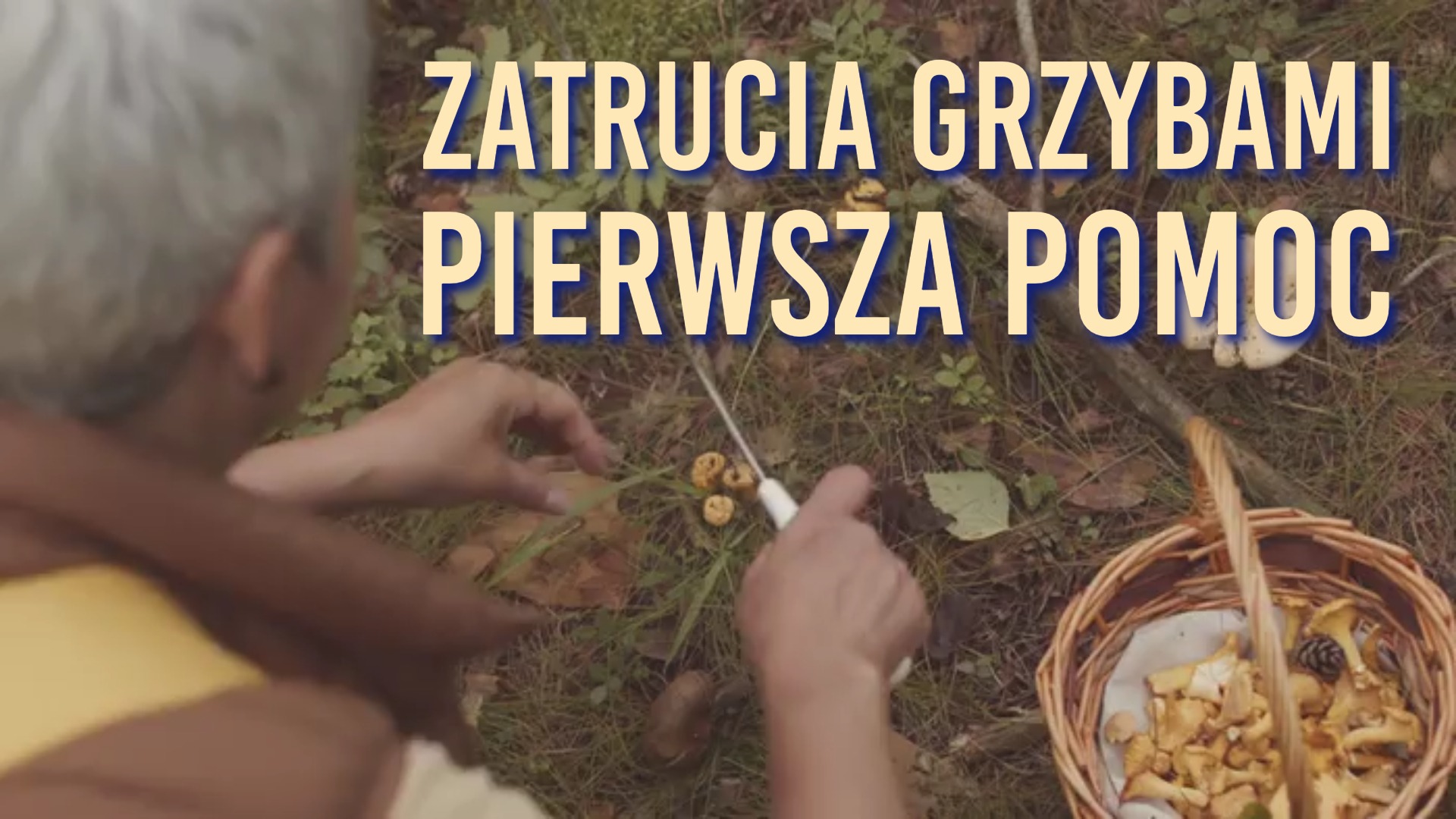 zatrucia grzybami pierwsza pomoc