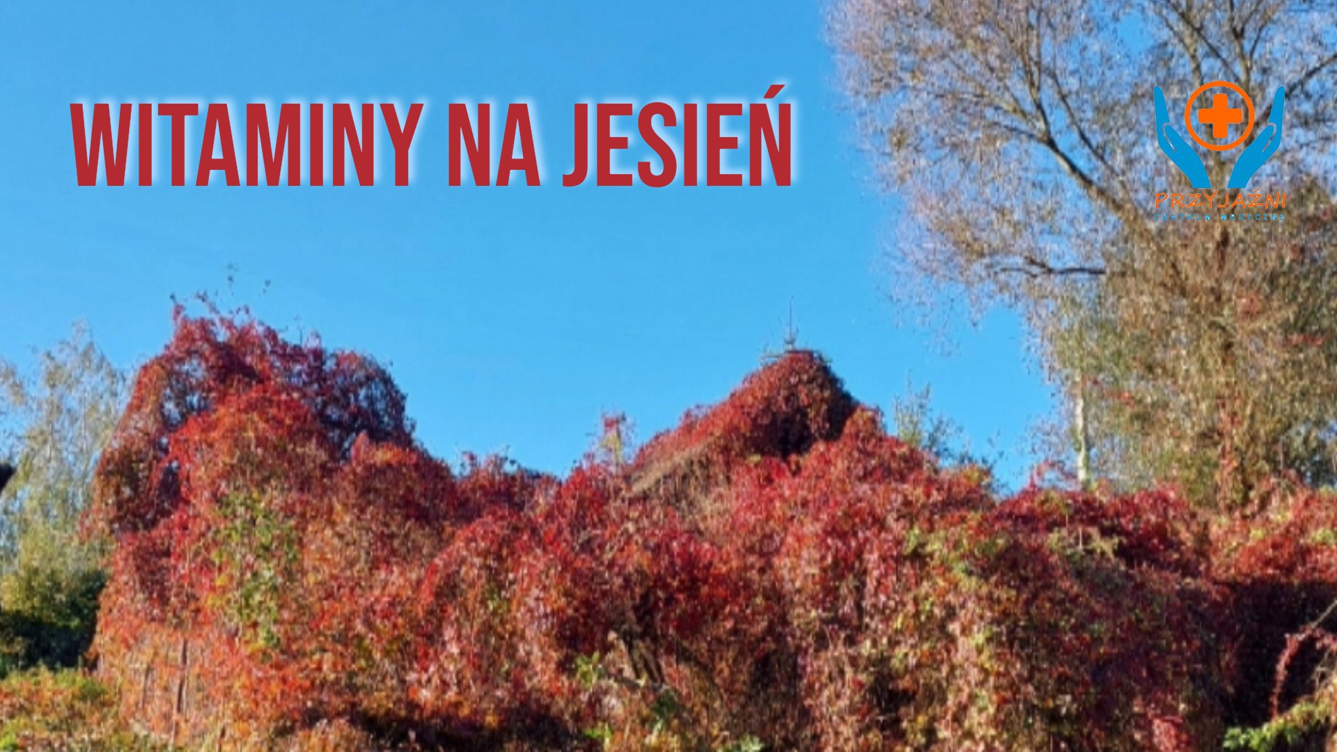 witaminy na jesień